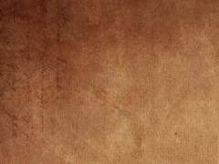 위자드 펌킨파이 (2/2)