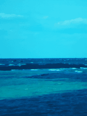 덕질그림팀 전용.