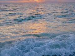 넘칠듯 들려오는 파도의 노래소리