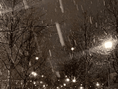 3. 한국대 사범대 하남자들과 상여자