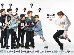 반쪽짜리 별똥별.