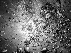 시로의 남자들(23.5)