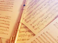 [ 사은유 / XY / C ]