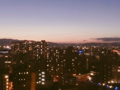 하데스, 페르세포네 (完)