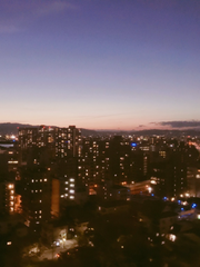 이런저런 이야기들