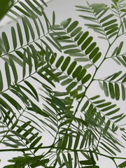 𝐀𝐮𝐠𝐮𝐬𝐭 𝟏𝟔𝐭𝐡