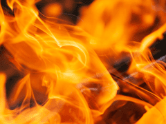 제목을 입력하세요