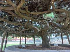 오늘부터 파업이다 파업이야!