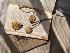 한결예대 공개 프로필