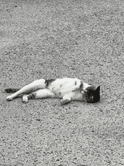 먹고 싶었던 거 먹는 하루 되세요