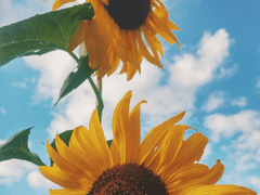 [11월] '1화' 랭찌