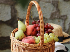 원신 패러디 단편 개요