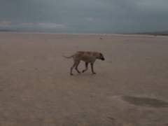 우리가 구하고자 했던 세계는