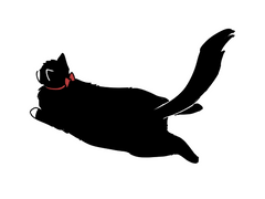 아서레이모음 6