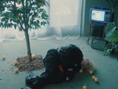 02편 시큼한 레몬빛