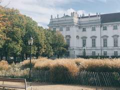 성 마틴의 여름은 사흘간 이어진다 (上)