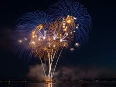 사랑의 묘약 下