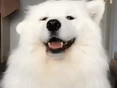 [이태용] RUB ME, LOVE ME! (Clean Ver.)