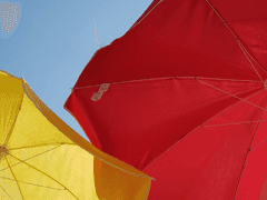 [NS] 잊지 못할 선물