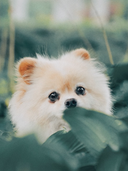 ㅡ 그와 나의 연애사정