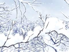 [은혼] 雪中梅 (1)