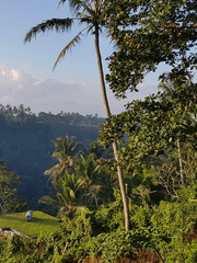 sidem 인터뷰 번역