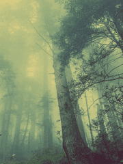 사람을 보며 헛된 생각을 하기