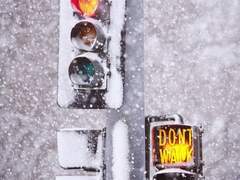 Chapter 1: 횡단보도