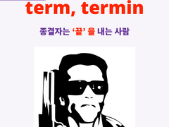 term, termin