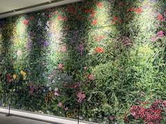 이러한 것들을 찍습니다