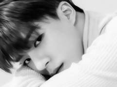 버림받은 왕녀의 개 5