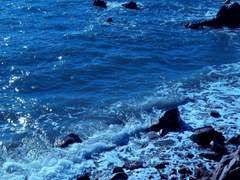 한결예대 공개 프로필