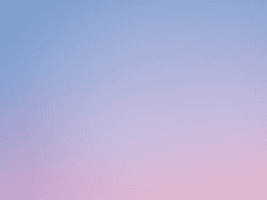 문주님 우리문주님