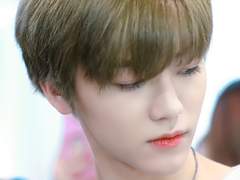 겨울에서 살아남기.