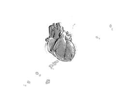 모두가 살아남은 세계 덤페이지 3P 무료공개.