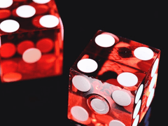 CELEBRITY GAME,시작하시겠습니까?[커뮤 개장]