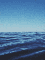 내가 보고싶은 OO