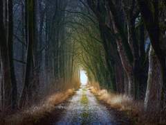 미친자들의 탈출기 1.5기