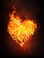 연애불구대천지원수