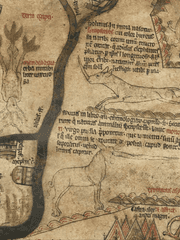 𝓟𝓱𝓸𝓲𝓫𝓮