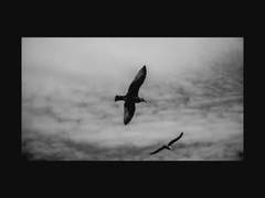 the great arch of the sky