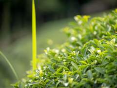 유차설 / 2학년 / 인수