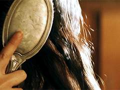 𝑩𝒊𝒓𝒅𝒔 𝒐𝒇 𝒂 𝒇𝒆𝒂𝒕𝒉𝒆𝒓 𝒇𝒍𝒐𝒄𝒌 𝒕𝒐𝒈𝒆𝒕𝒉𝒆𝒓