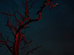 [라녹] 추상화가의 초상 1