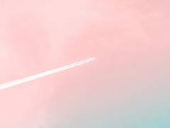 마더 구스의 분노