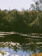한국/여자/91/미혼