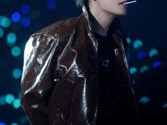 임신한 고양이 보고 싶다 1