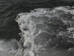 초절식 못하시는 분들