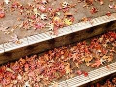 약속 취소된 날