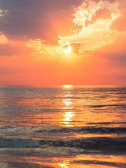 [가히리] 리본츠나